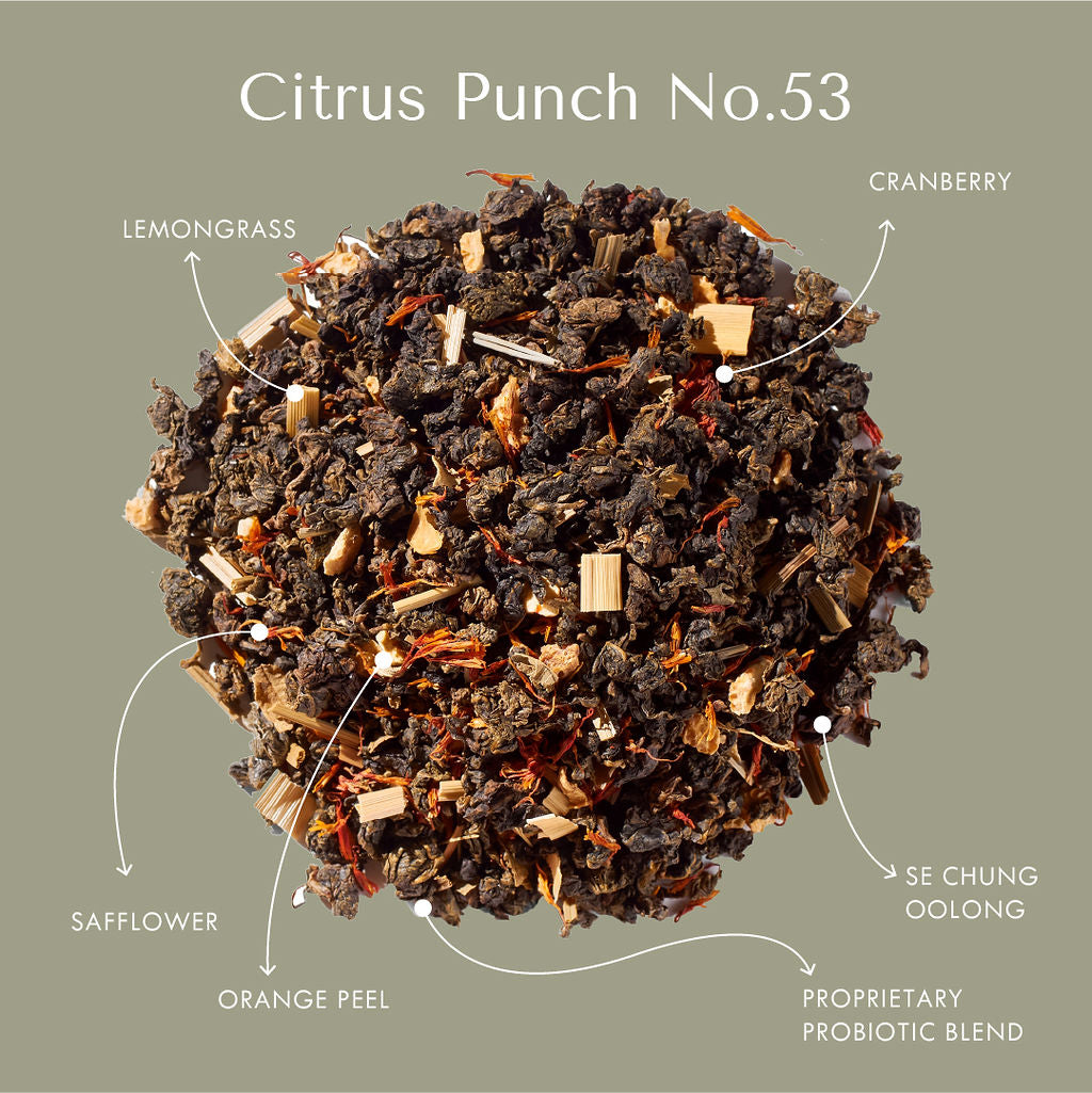 Citrus Punch No. 53 – Citrus Probiotic Oolong Tea Discs - Tree of Life