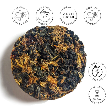 Citrus Punch No. 53 – Citrus Probiotic Oolong Tea Discs - Tree of Life