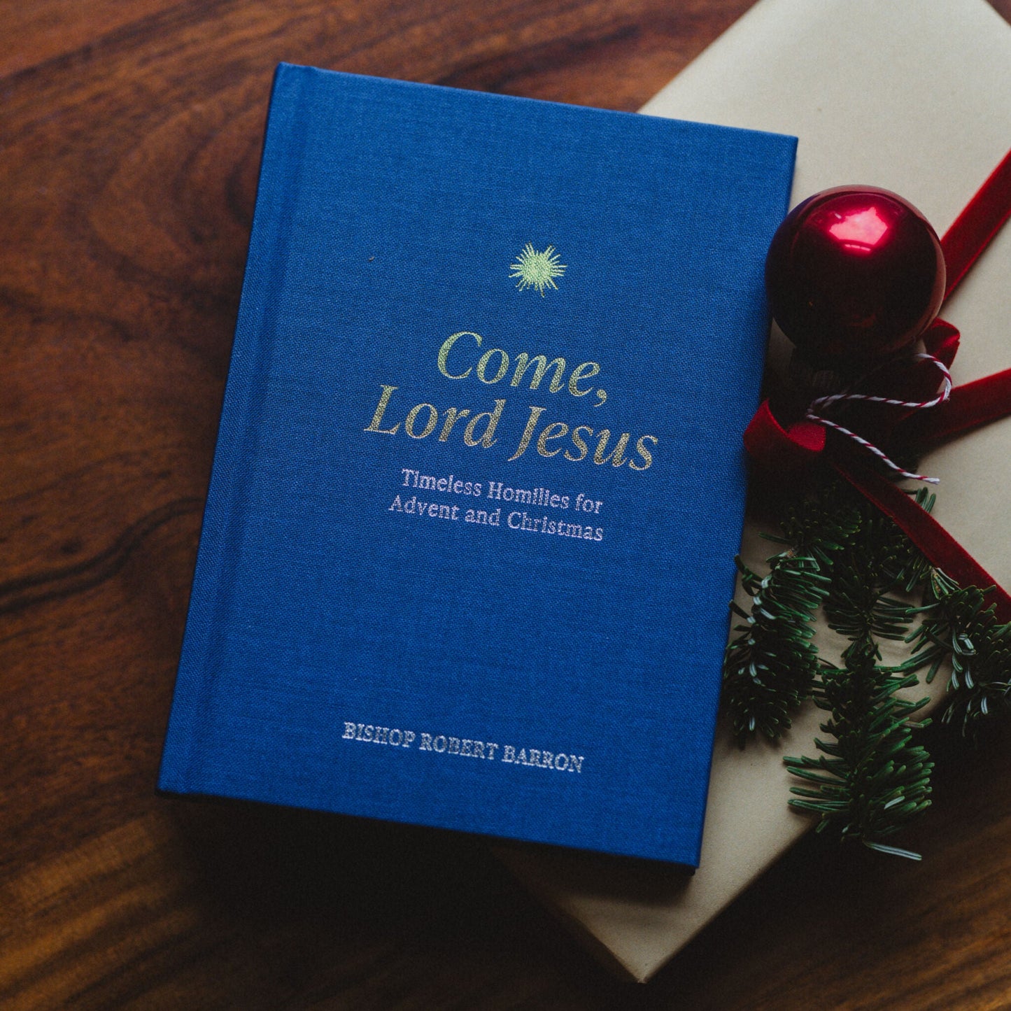 https://bookstore.wordonfire.org/cdn/shop/files/ComeLordJesus-2_1.jpg?v=1771539726