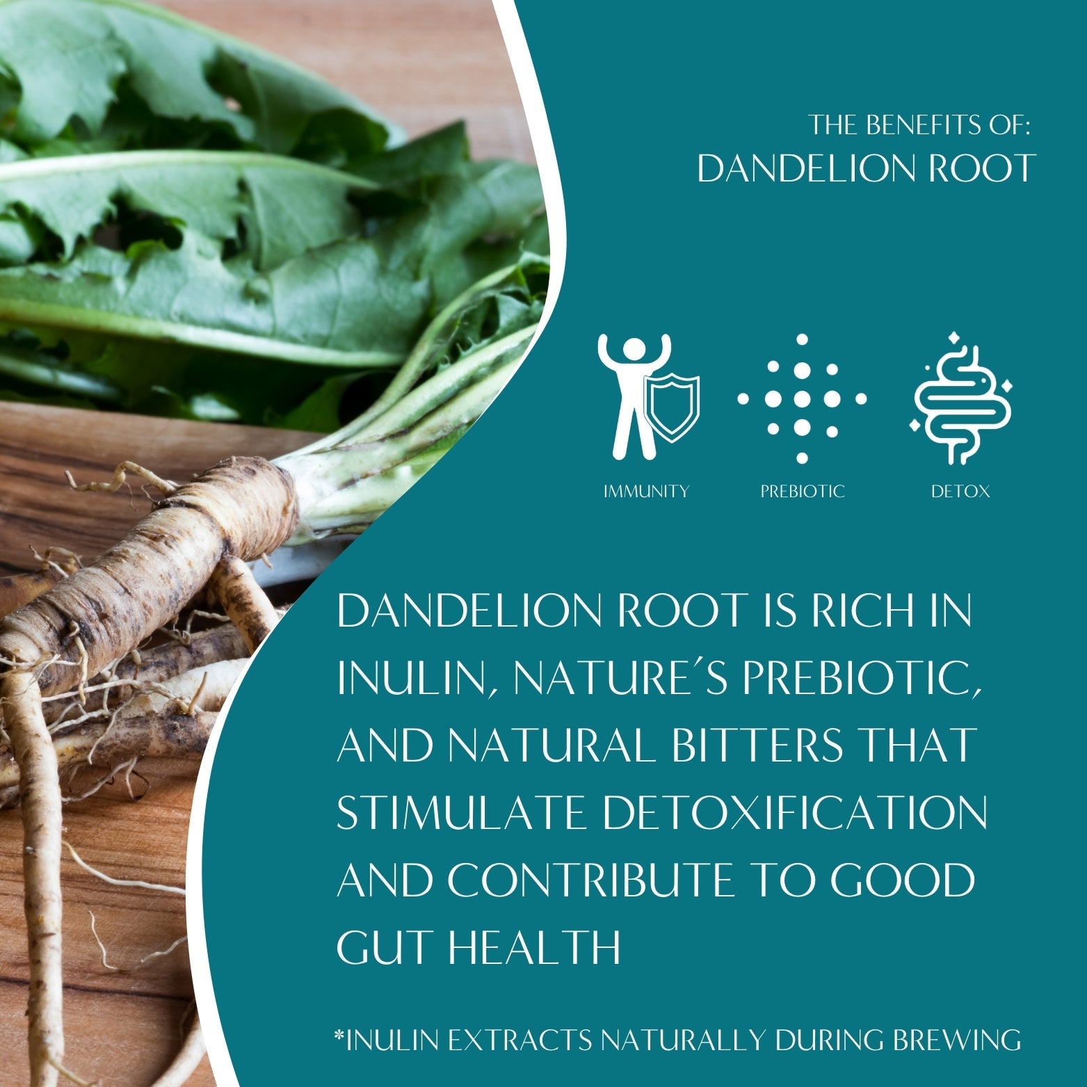 Dandelion Caramel Nut Roasted Herbal Tea - Tree of Life