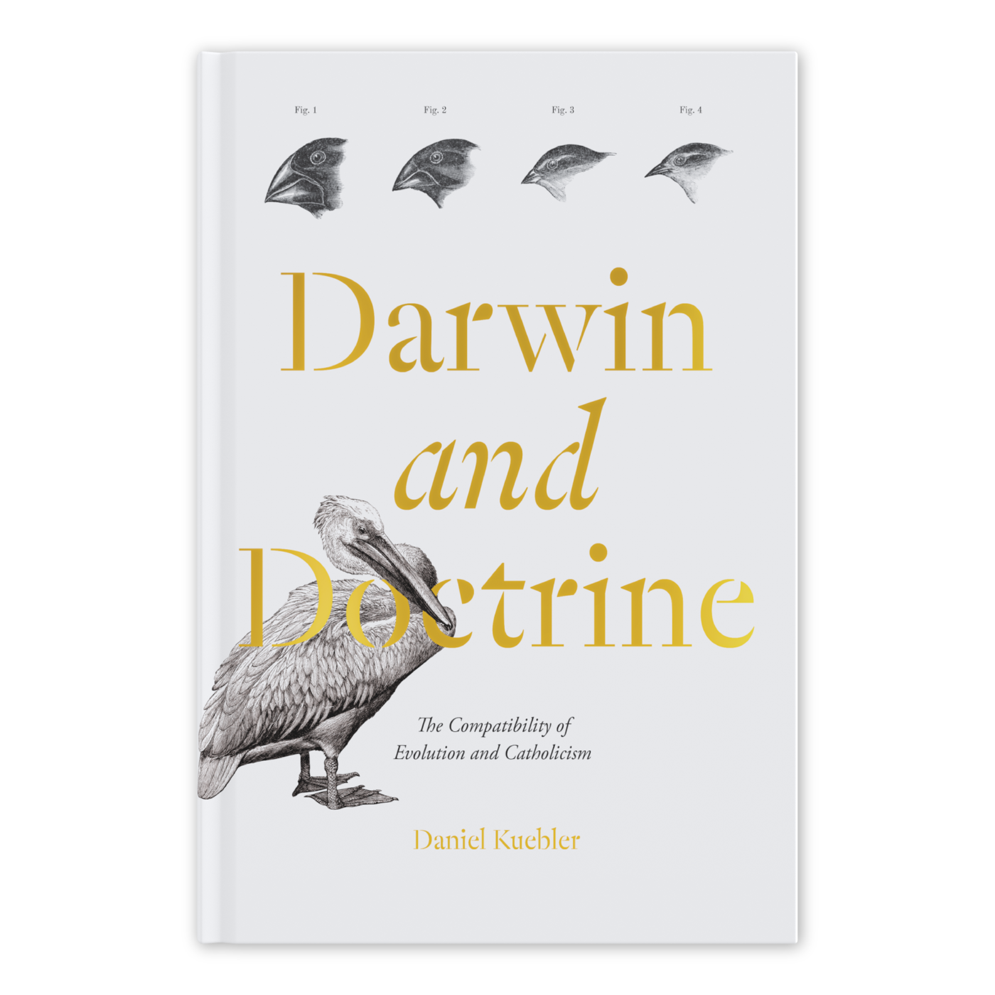 https://cdn.shopify.com/s/files/1/0005/3195/5769/files/Darwin-and-Doctrine_FRONT_shopify_LF.png?v=1747856153