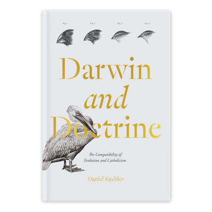 https://cdn.shopify.com/s/files/1/0005/3195/5769/files/Darwin-and-Doctrine_FRONT_shopify_LF.png?v=1747856153