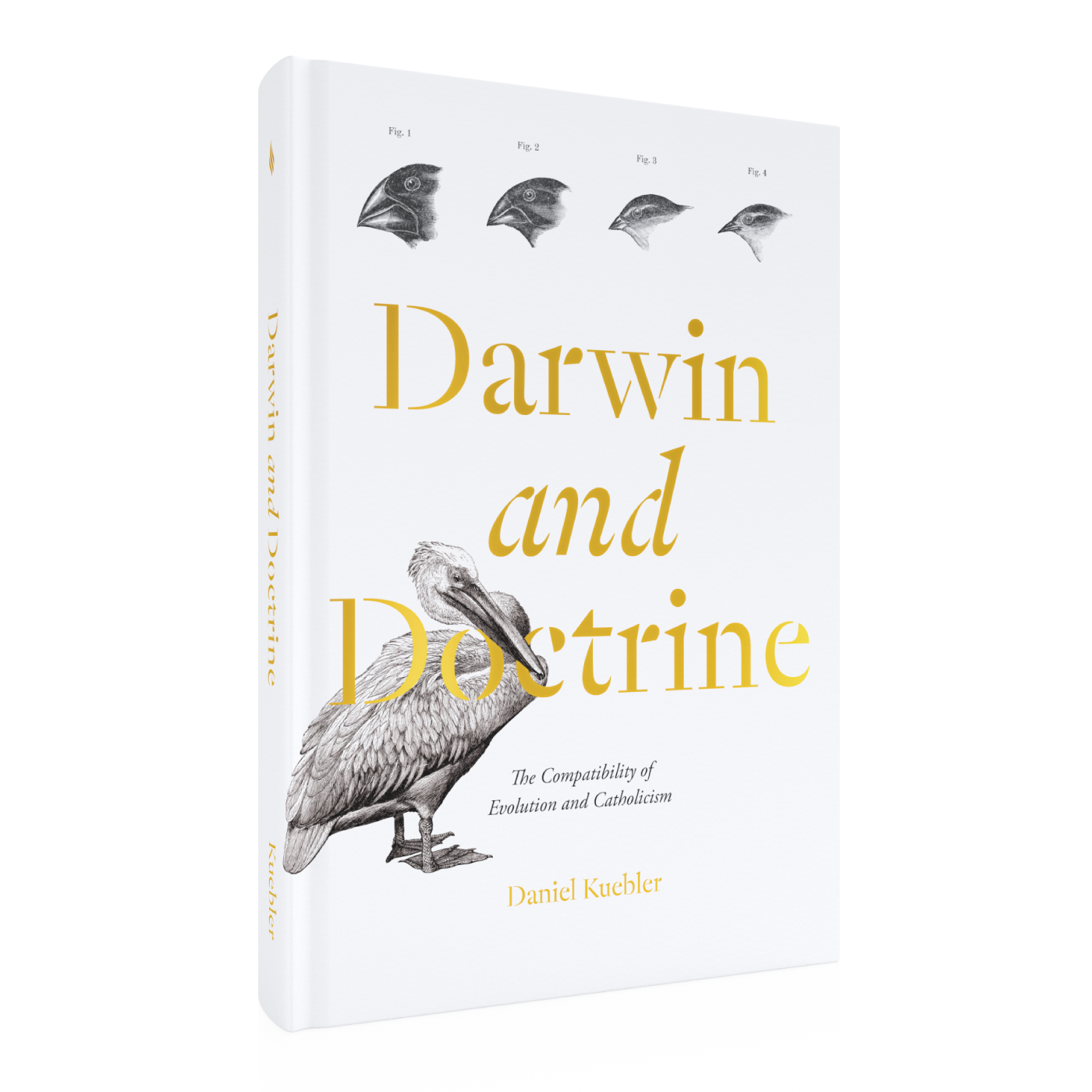 https://cdn.shopify.com/s/files/1/0005/3195/5769/files/Darwin-and-Doctrine_RIGHT_LF.png?v=1747856153