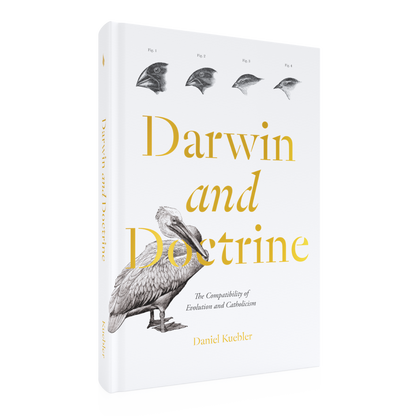 https://cdn.shopify.com/s/files/1/0005/3195/5769/files/Darwin-and-Doctrine_RIGHT_LF.png?v=1747856153