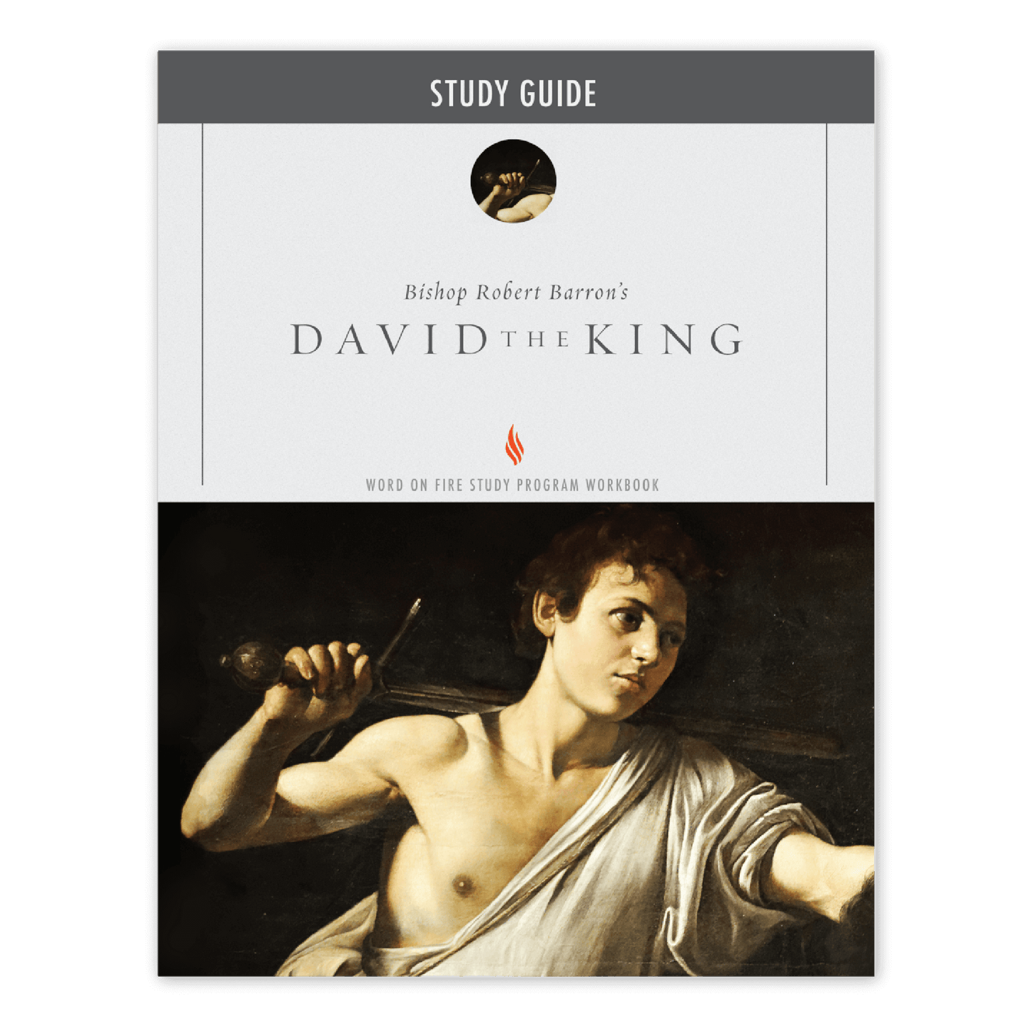 https://cdn.shopify.com/s/files/1/0005/3195/5769/files/DavidtheKing_Eng_Shopify_Front.png?v=1751920930