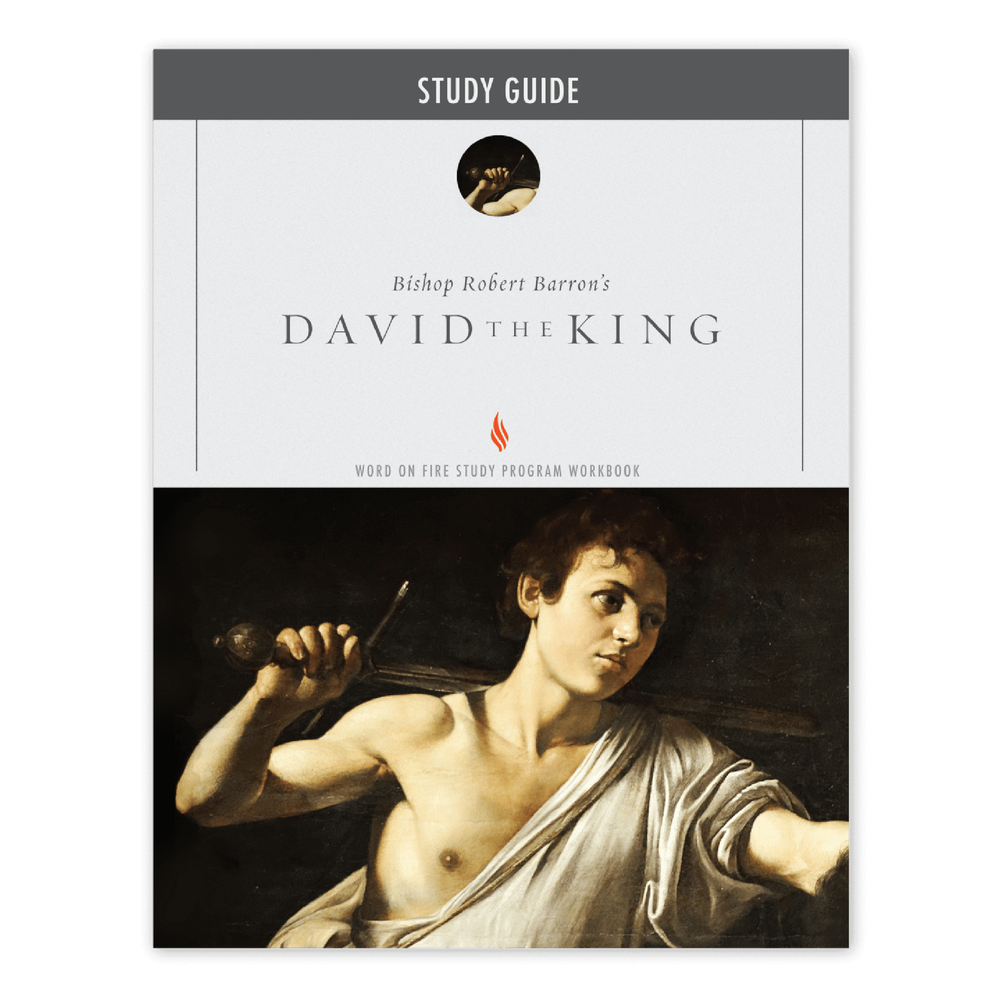 https://cdn.shopify.com/s/files/1/0005/3195/5769/files/DavidtheKing_Eng_Shopify_Front.png?v=1751920930