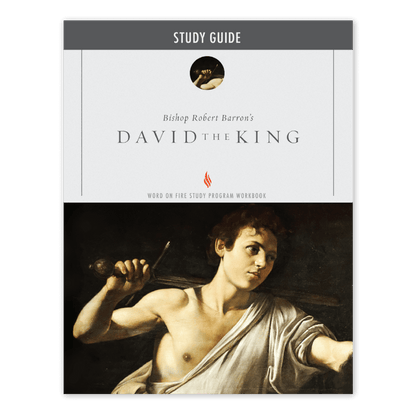 https://cdn.shopify.com/s/files/1/0005/3195/5769/files/DavidtheKing_Eng_Shopify_Front.png?v=1751920930