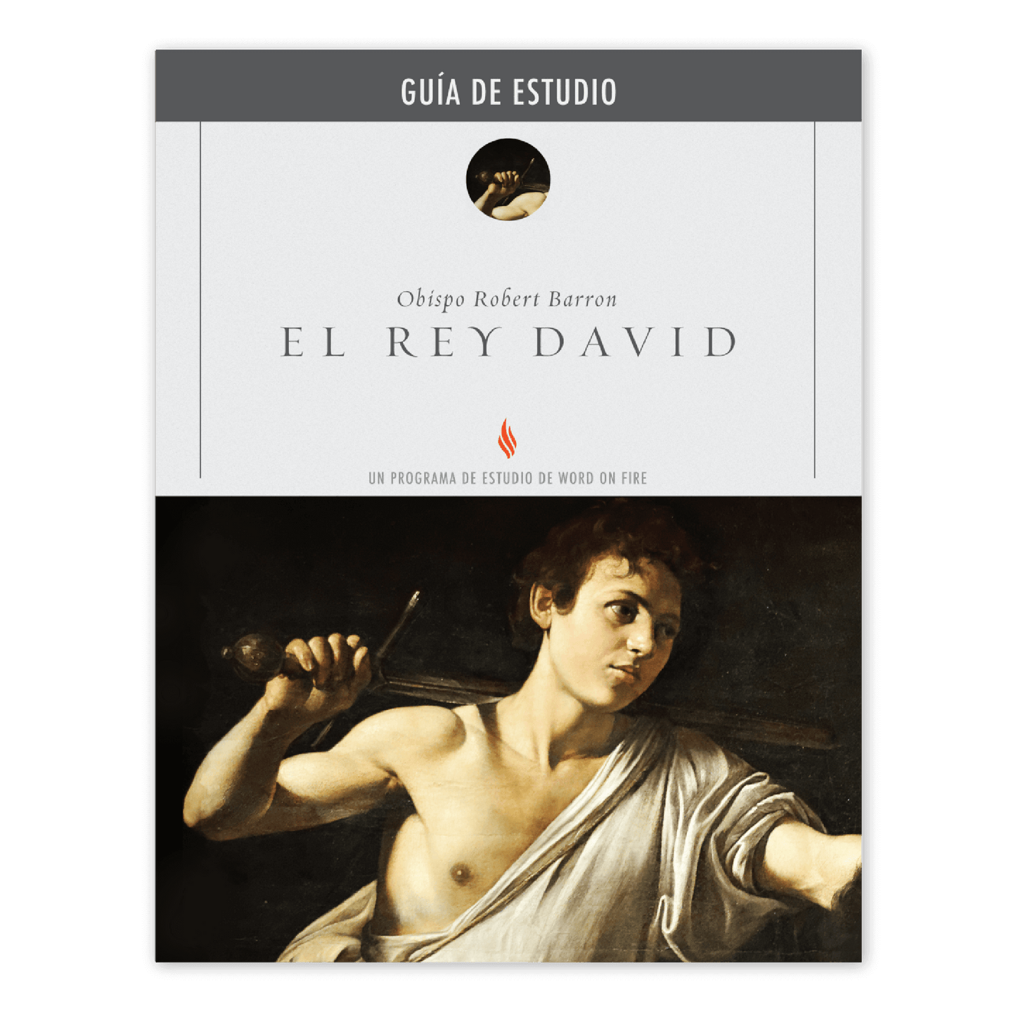 https://cdn.shopify.com/s/files/1/0005/3195/5769/files/DavidtheKing_Eng_Shopify_Front_SPANISH.png?v=1751921216