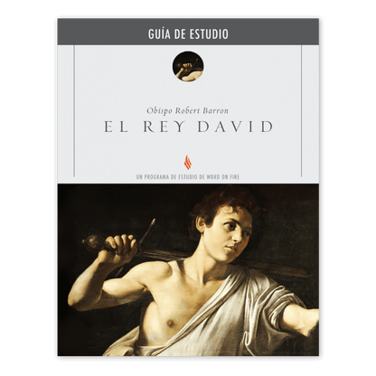 https://cdn.shopify.com/s/files/1/0005/3195/5769/files/DavidtheKing_Eng_Shopify_Front_SPANISH.png?v=1751921216