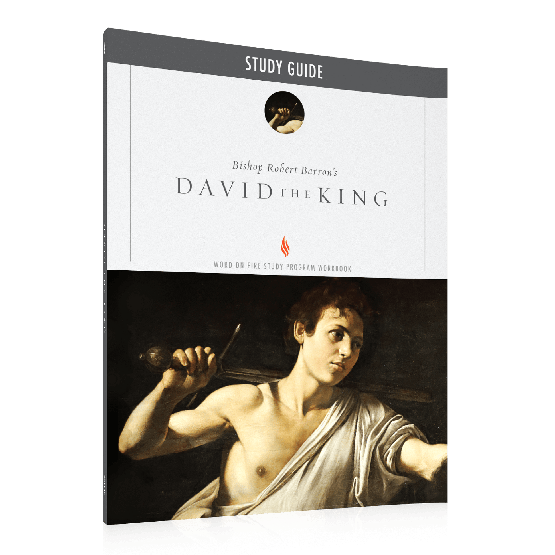 https://cdn.shopify.com/s/files/1/0005/3195/5769/files/DavidtheKing_Eng_Shopify_Right.png?v=1751920931