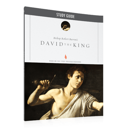 https://cdn.shopify.com/s/files/1/0005/3195/5769/files/DavidtheKing_Eng_Shopify_Right.png?v=1751920931