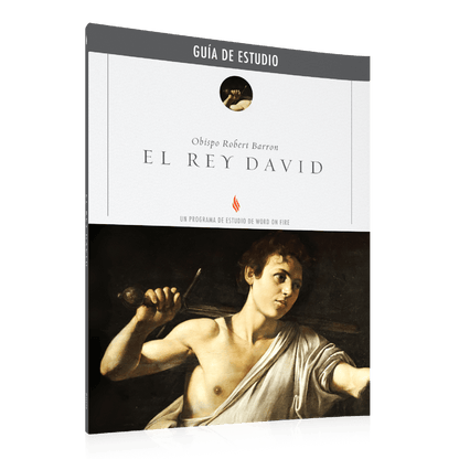 https://cdn.shopify.com/s/files/1/0005/3195/5769/files/DavidtheKing_Eng_Shopify_Right_SPANISH.png?v=1751921216