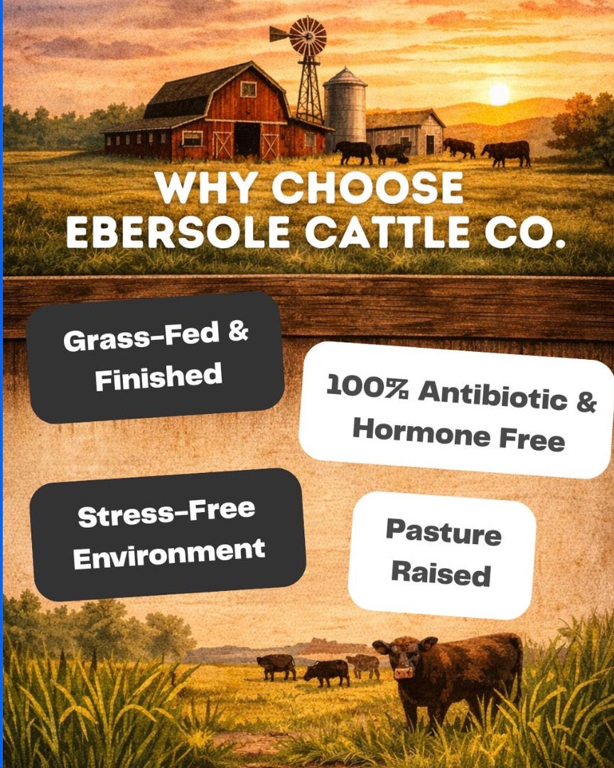 ECC Ranch Grassfed Beef Sticks - Tree of Life