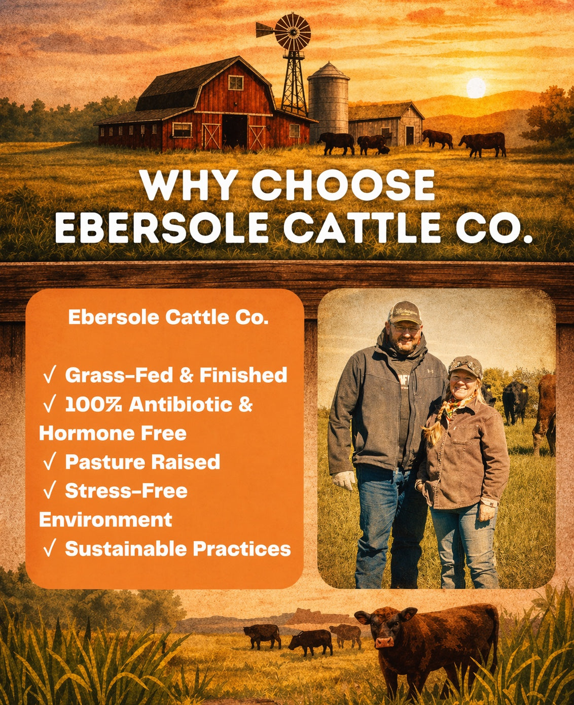ECC Ranch Grassfed Beef Sticks - Tree of Life