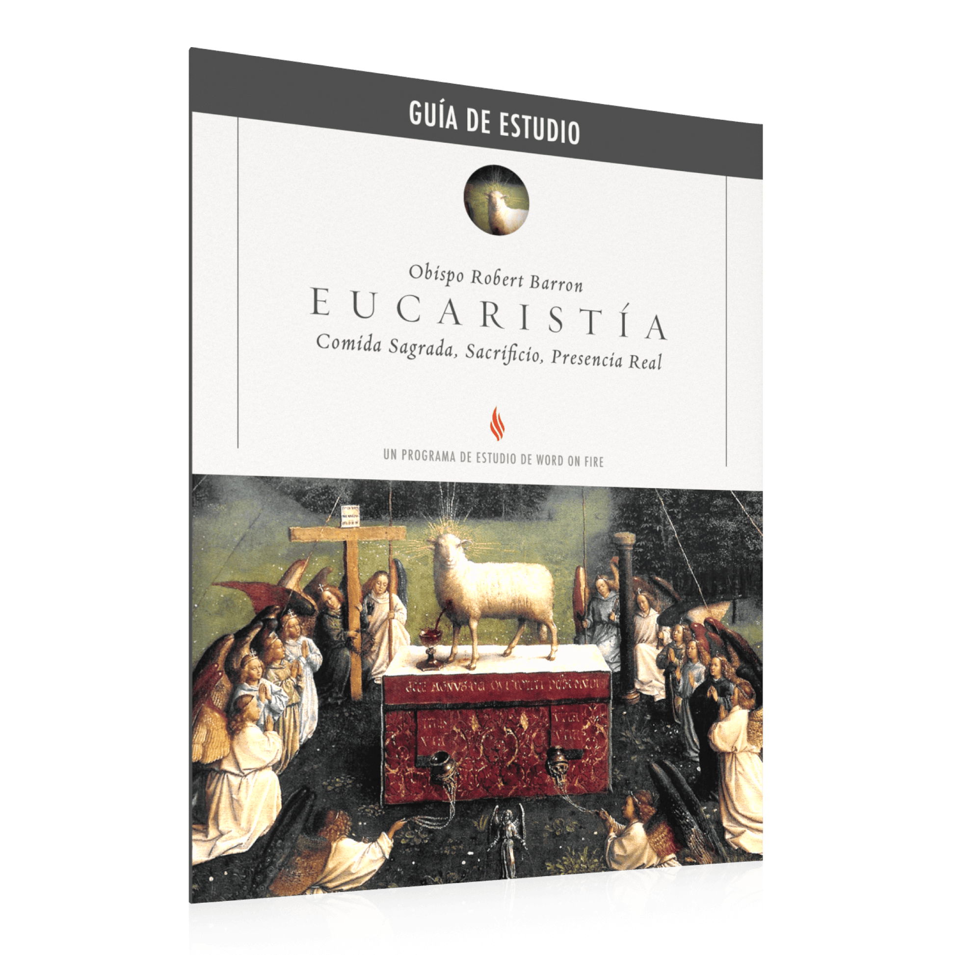 https://cdn.shopify.com/s/files/1/0005/3195/5769/files/Eucharist_Study-Guide_Spanish_SHOPIFY_Right.png?v=1751924354