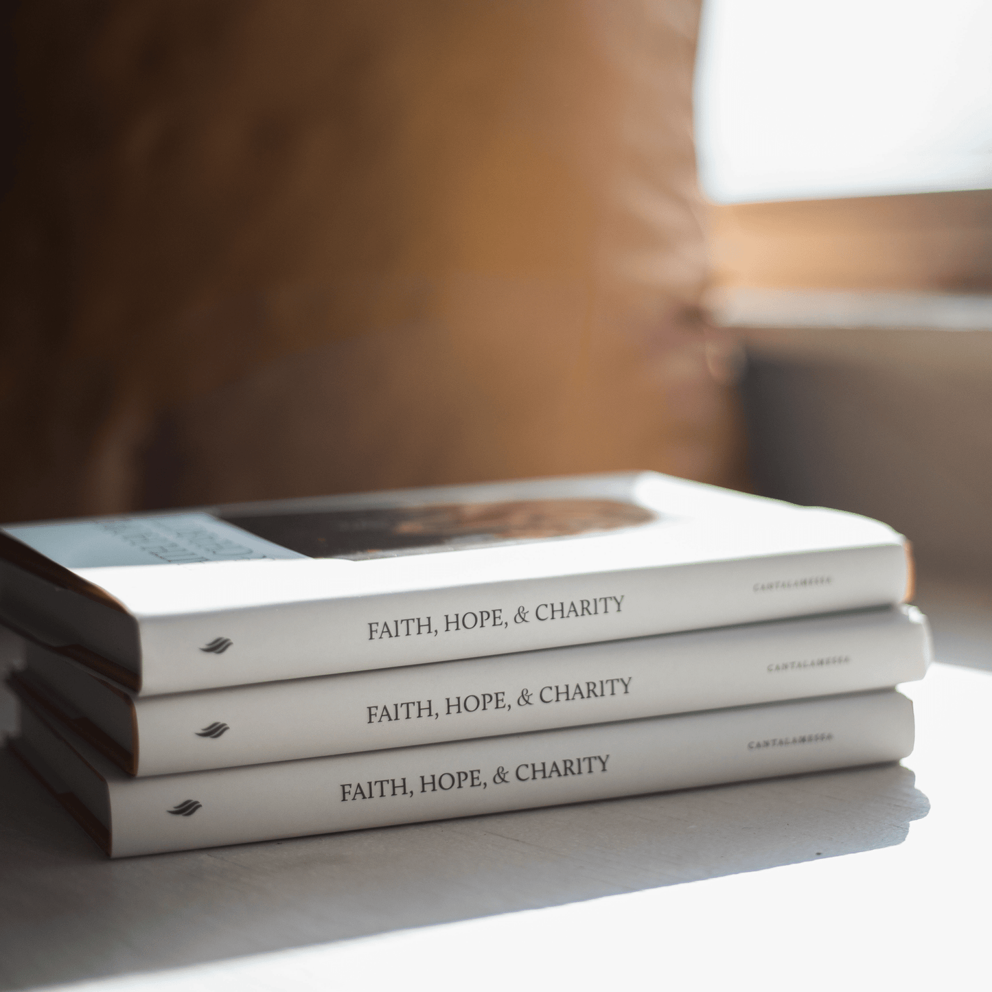 https://cdn.shopify.com/s/files/1/0005/3195/5769/files/Faith-Hope-Charity-9_shopify.png?v=1758317047