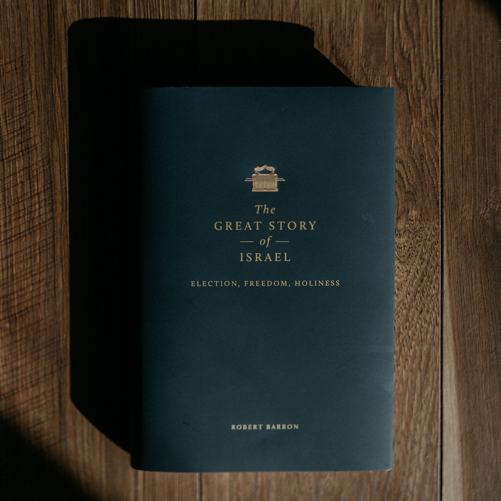 https://cdn.shopify.com/s/files/1/0005/3195/5769/files/Great-Story-of-Israel-12.jpg?v=1758317862