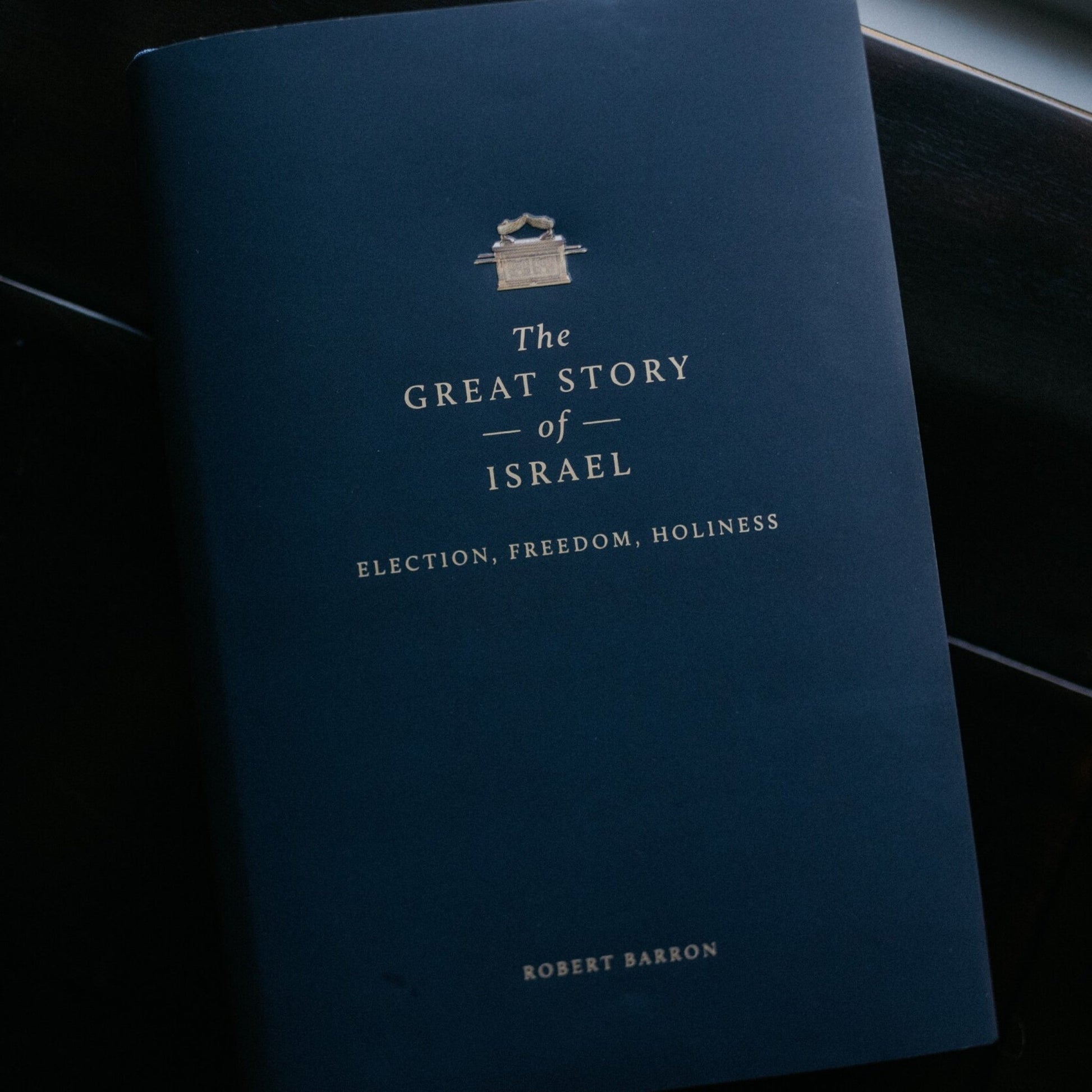 https://cdn.shopify.com/s/files/1/0005/3195/5769/files/Great-Story-of-Israel-6-parallax-2_1.jpg?v=1758317862