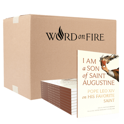 https://cdn.shopify.com/s/files/1/0005/3195/5769/files/I-Am-A-Son-Of-Saint-Augustine_Stack-and-Bulk-Cardboard-Box_1.png?v=1770326604