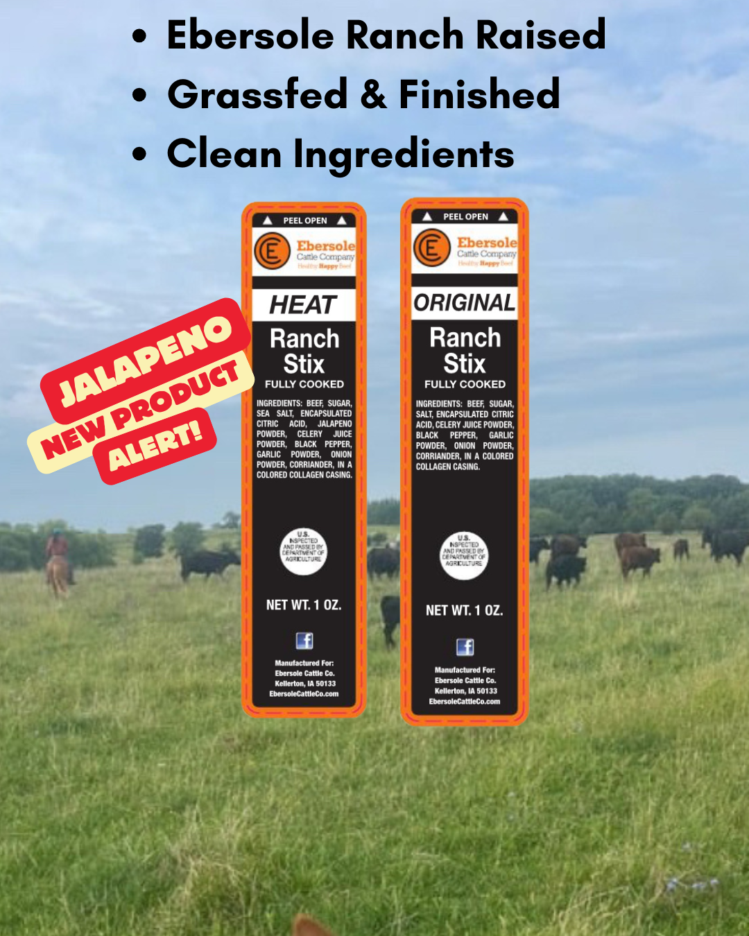 ECC Ranch Grassfed Beef Sticks - Tree of Life