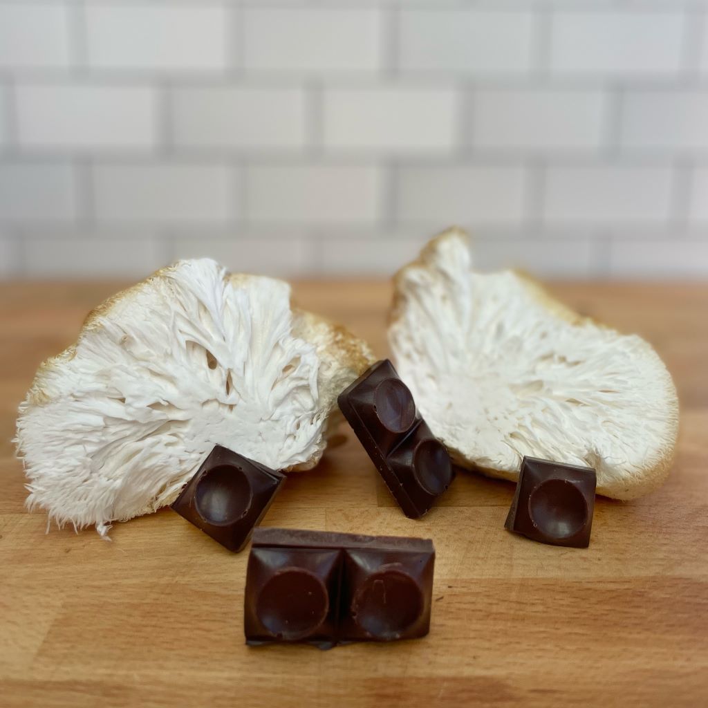 Ceremonial Forest Blend™ Cacao Paste with 6 Functional Mushrooms - Tree of Life