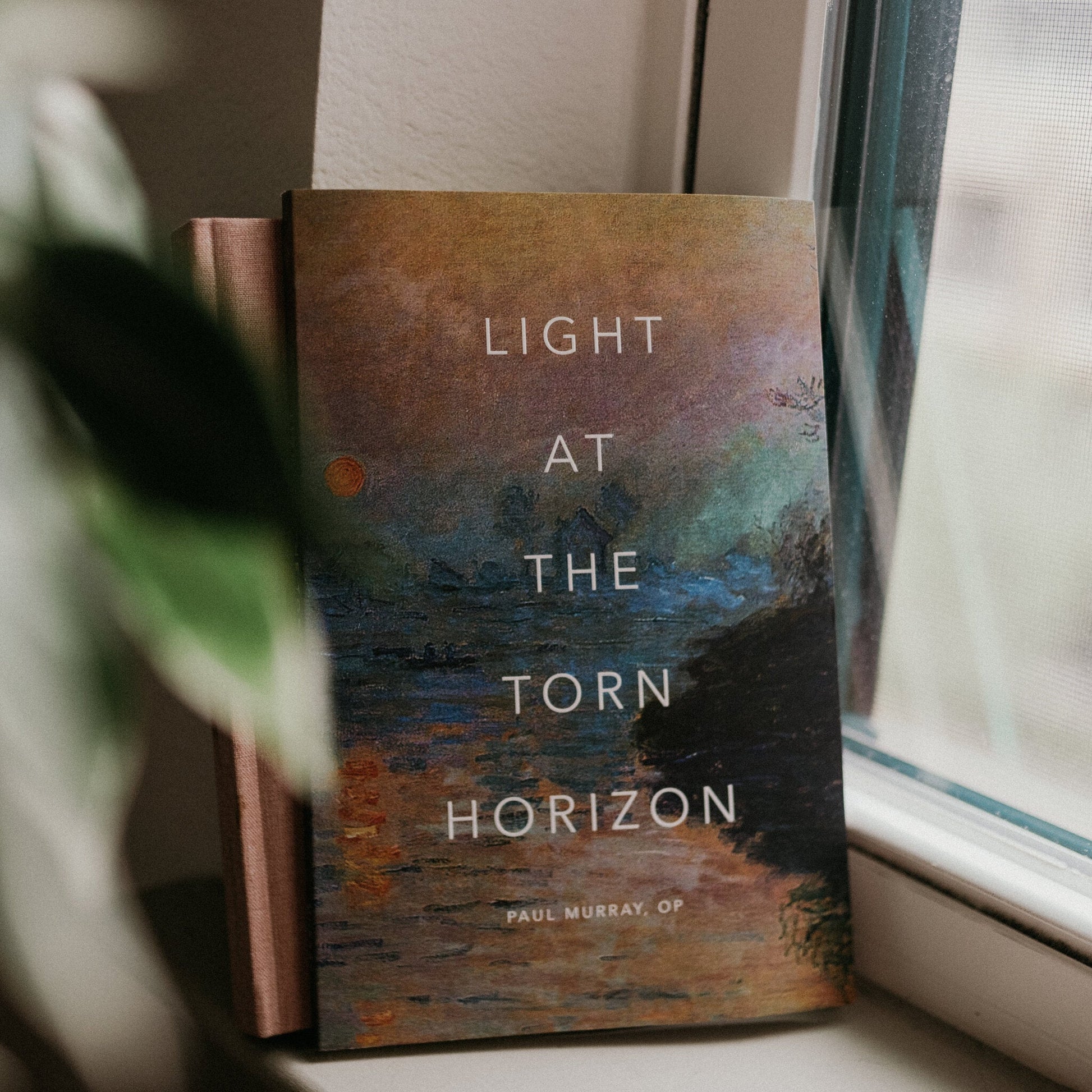 https://cdn.shopify.com/s/files/1/0005/3195/5769/files/LightattheTornHorizon-26.jpg?v=1758317911