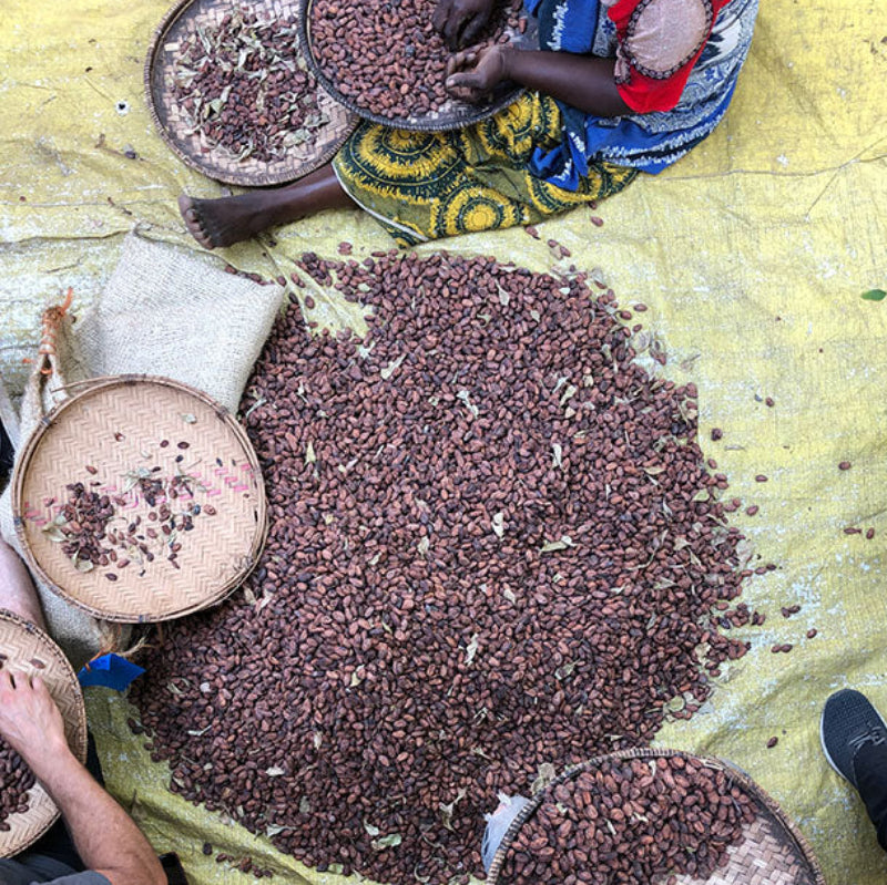 65% Madagascar Dark Chocolate - Tree of Life