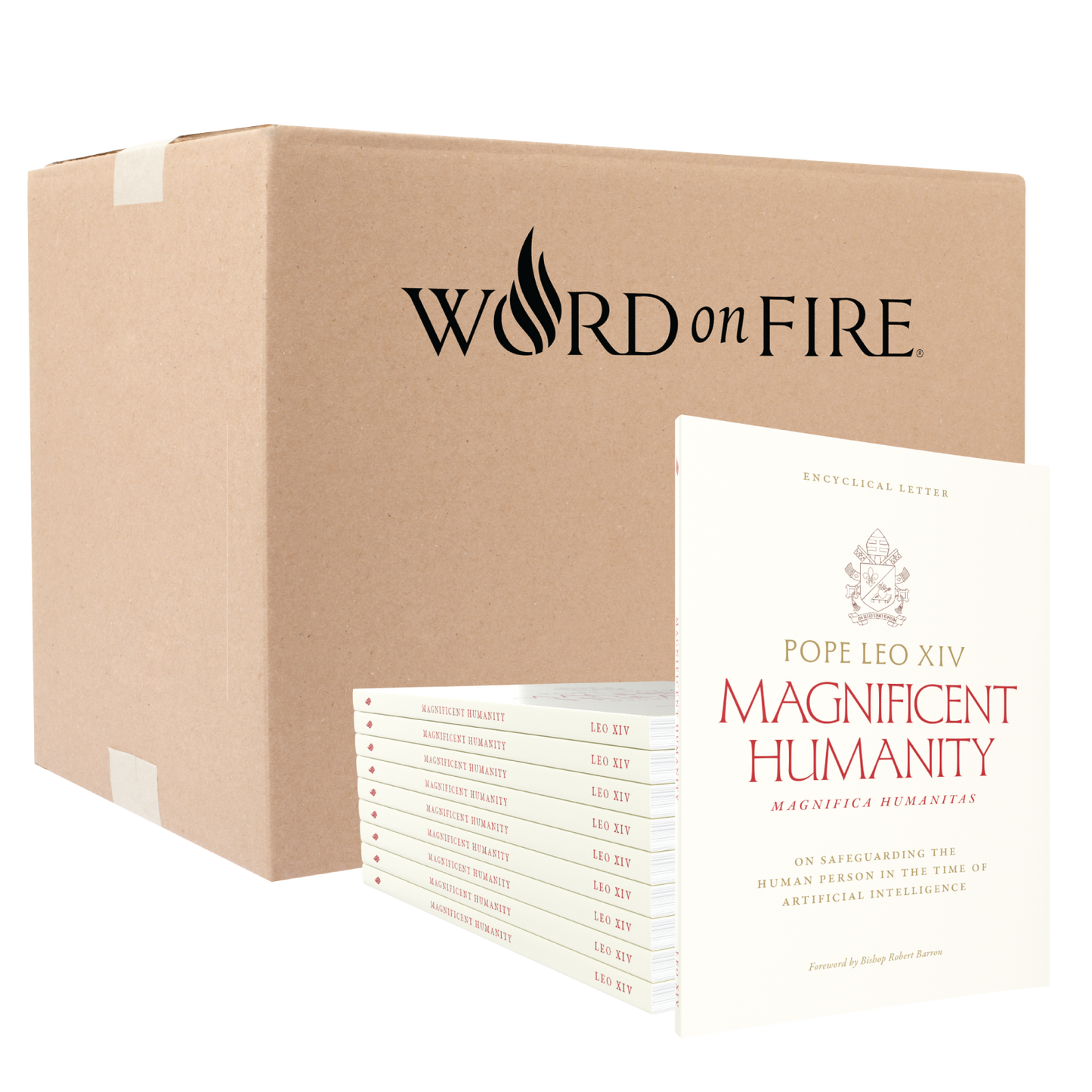 https://cdn.shopify.com/s/files/1/0005/3195/5769/files/MagnificaHumanitasBulk-Cardboard-Box_1.png?v=1779991260