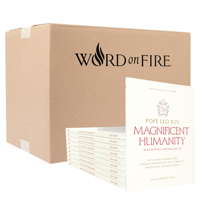 https://cdn.shopify.com/s/files/1/0005/3195/5769/files/MagnificaHumanitasBulk-Cardboard-Box_1.png?v=1779991260