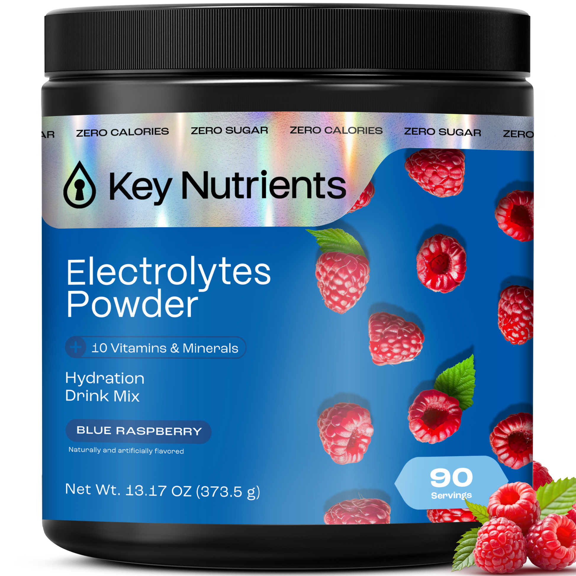 Electrolyte Recovery Plus Powder (Sugar-Free) - Tree of Life