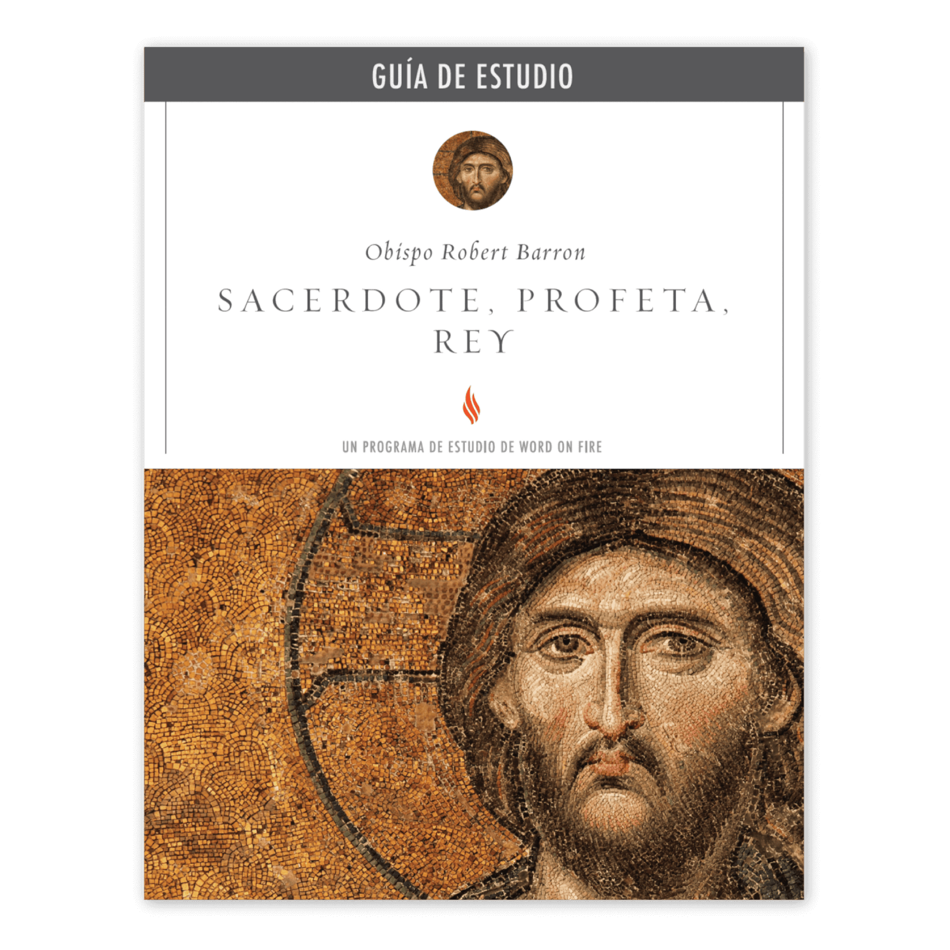 https://cdn.shopify.com/s/files/1/0005/3195/5769/files/Priest-Prophet-King_Study-Guide_Spanish_SHOPIFY_Front.png?v=1751923074