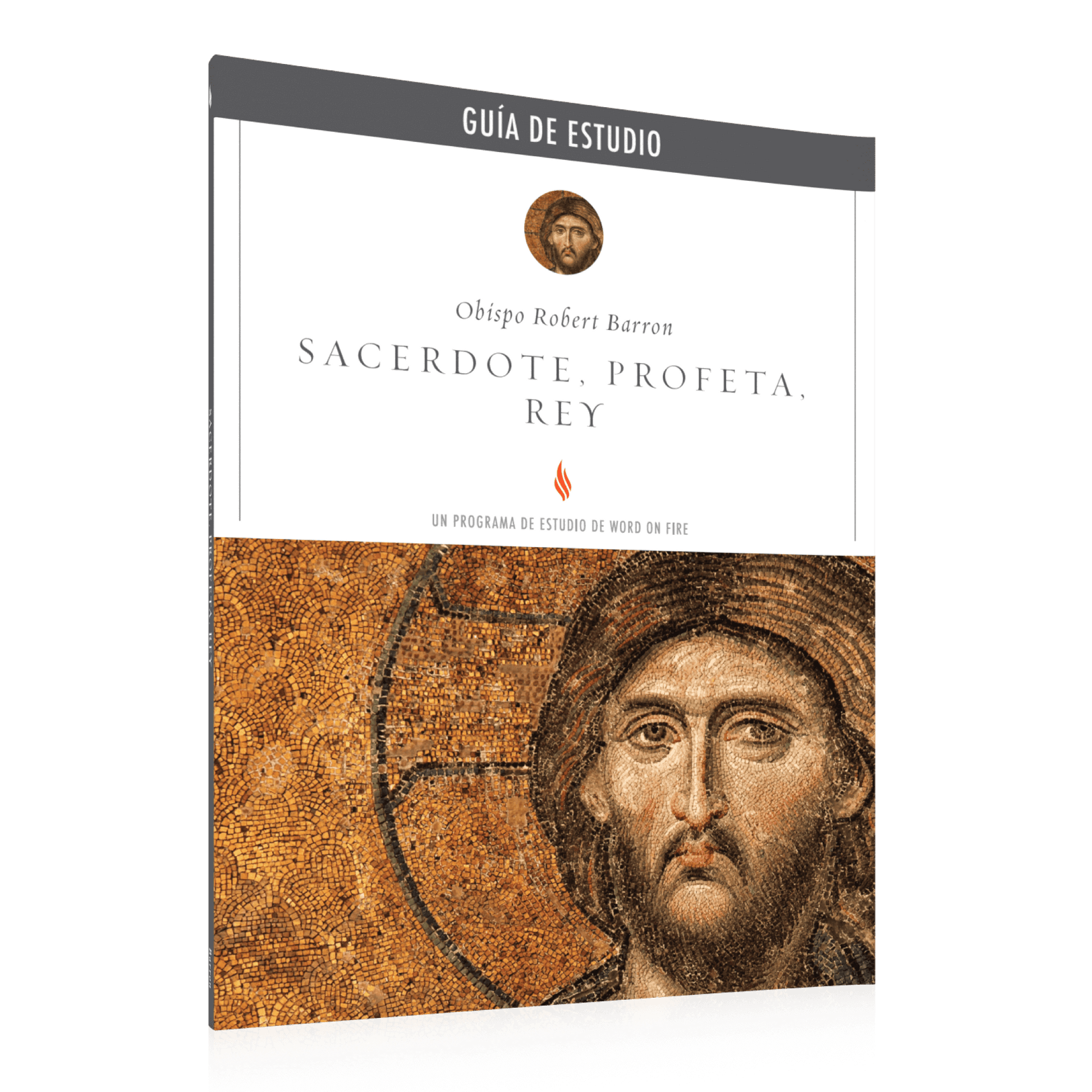https://cdn.shopify.com/s/files/1/0005/3195/5769/files/Priest-Prophet-King_Study-Guide_Spanish_SHOPIFY_Right.png?v=1751923075