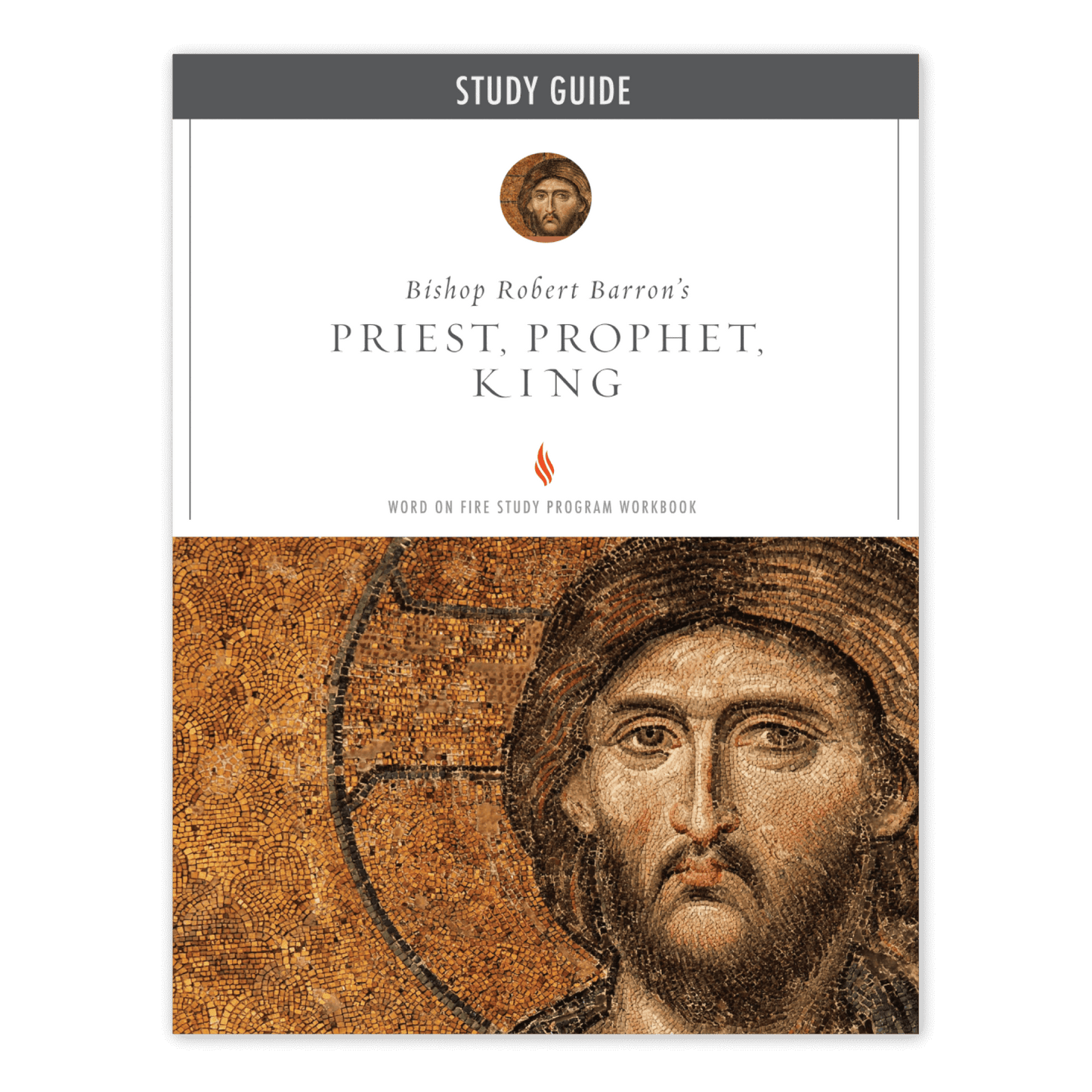 https://cdn.shopify.com/s/files/1/0005/3195/5769/files/Priest_-Prophet_-King_Study-Guide_Shopify_FRONT.png?v=1751922607