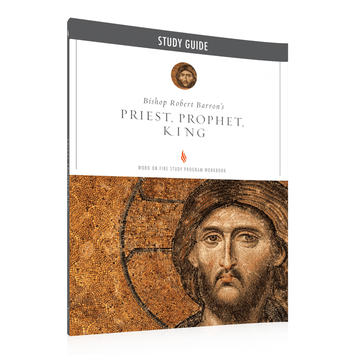 https://cdn.shopify.com/s/files/1/0005/3195/5769/files/Priest_-Prophet_-King_Study-Guide_Shopify_RIGHT.png?v=1751922607
