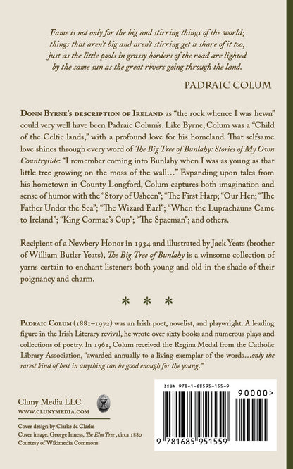 The Big Tree of Bunlahy