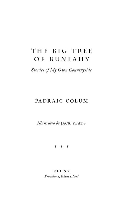 The Big Tree of Bunlahy