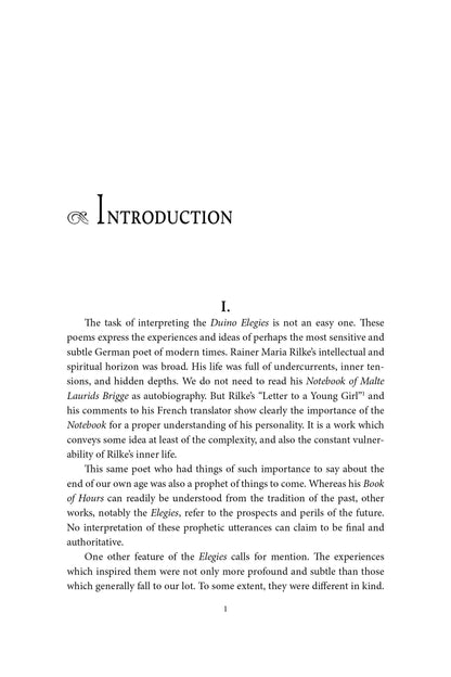 Rilke's Duino Elegies: An Interpretation