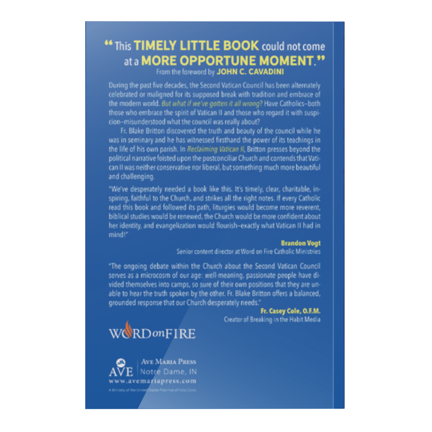 https://cdn.shopify.com/s/files/1/0005/3195/5769/products/Reclaiming-Vatican-II-SHOPIFY-Back.png?v=1676926645