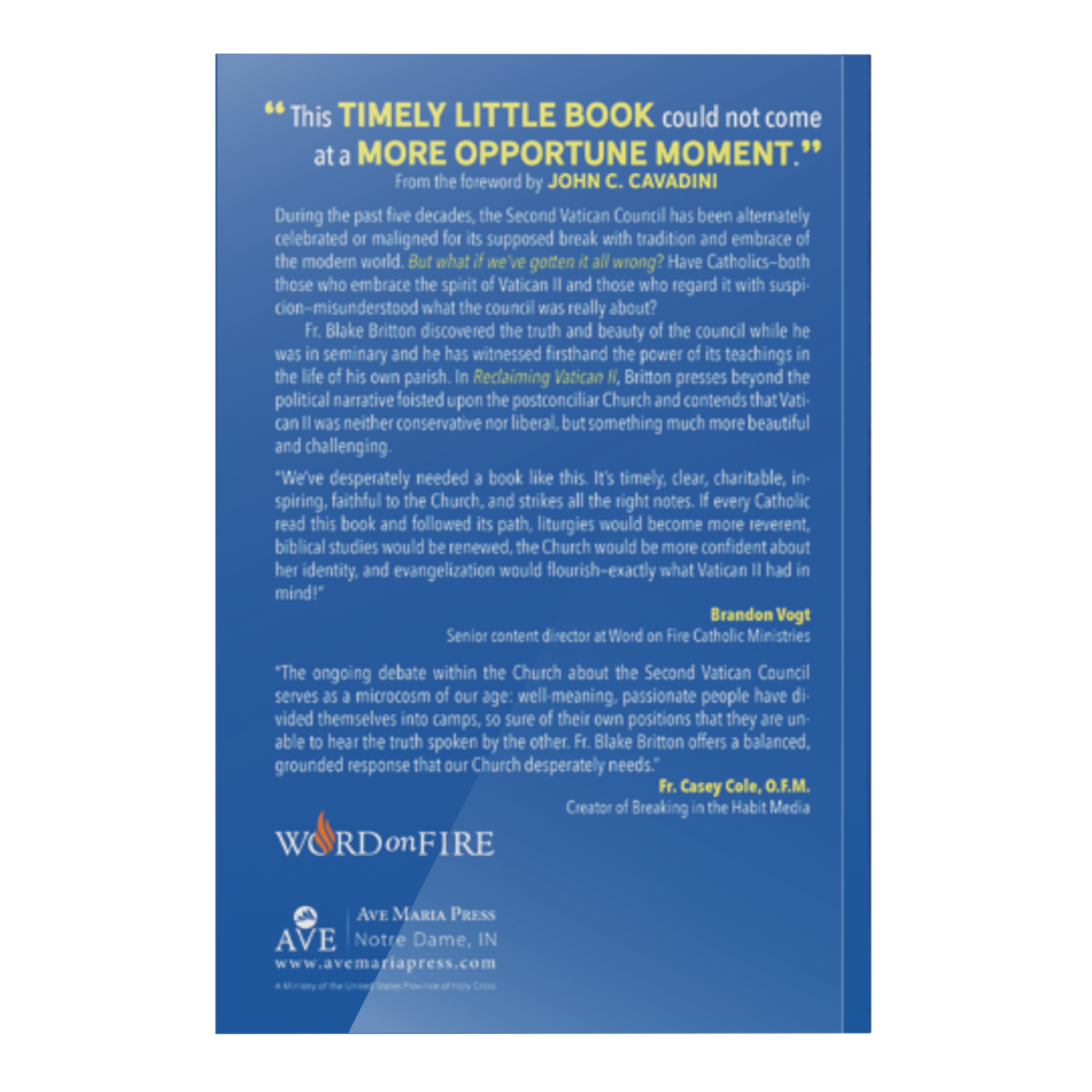 https://cdn.shopify.com/s/files/1/0005/3195/5769/products/Reclaiming-Vatican-II-SHOPIFY-Back.png?v=1676926645