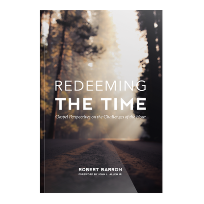 https://cdn.shopify.com/s/files/1/0005/3195/5769/products/Redeeming-the-Time-SHOPIFY-Front.png?v=1676410075