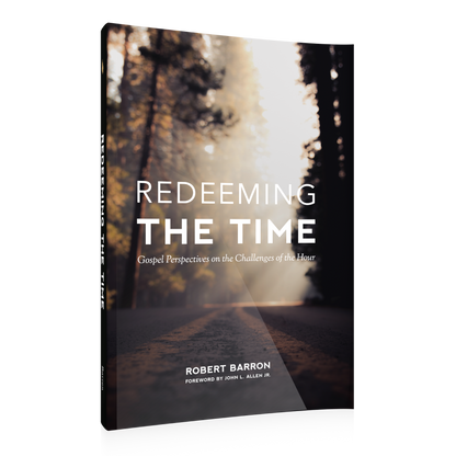 https://cdn.shopify.com/s/files/1/0005/3195/5769/products/Redeeming-the-Time-SHOPIFY-RIGHT.png?v=1676410075