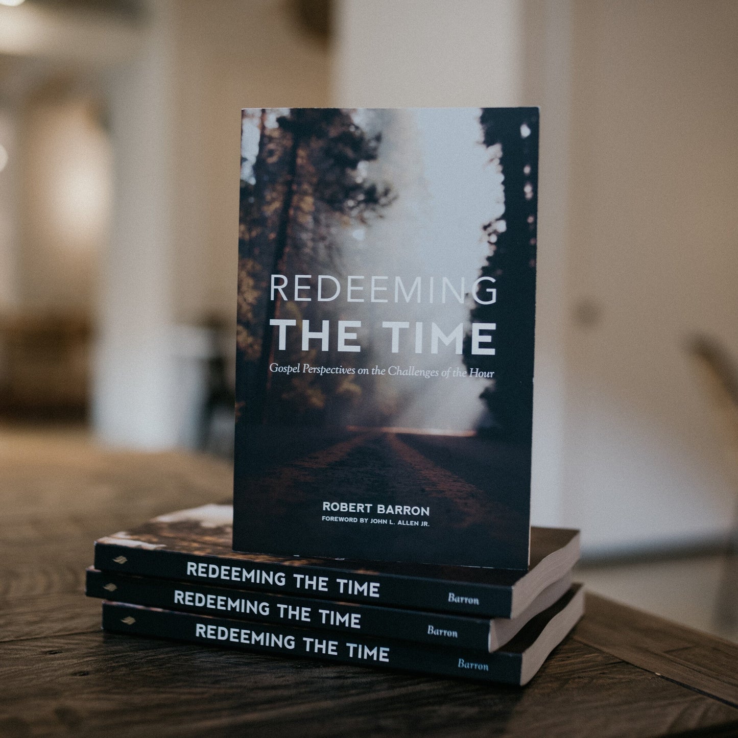 https://cdn.shopify.com/s/files/1/0005/3195/5769/files/RedeemingtheTime-15.jpg?v=1758317955