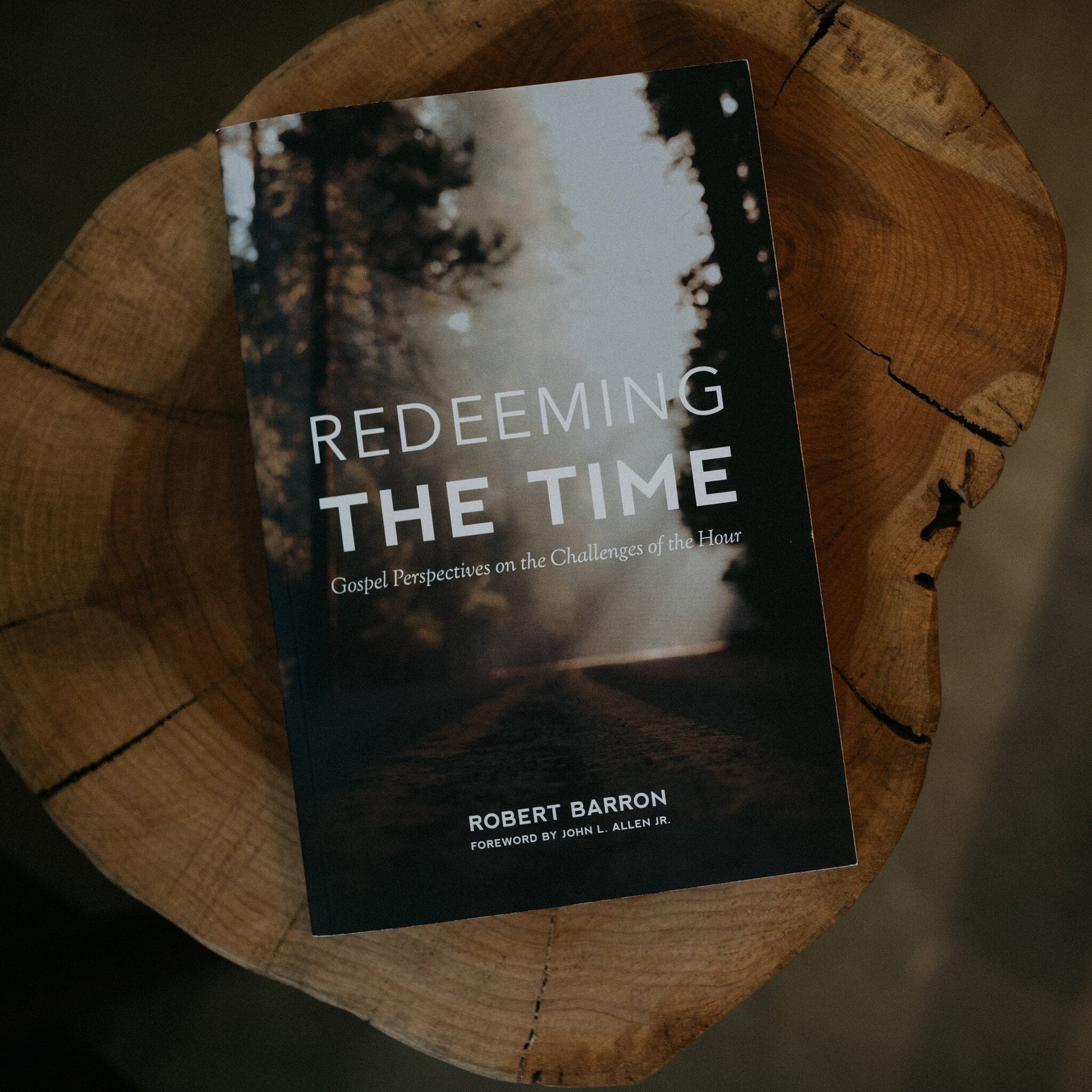 https://cdn.shopify.com/s/files/1/0005/3195/5769/files/RedeemingtheTime-4_1.jpg?v=1758317955
