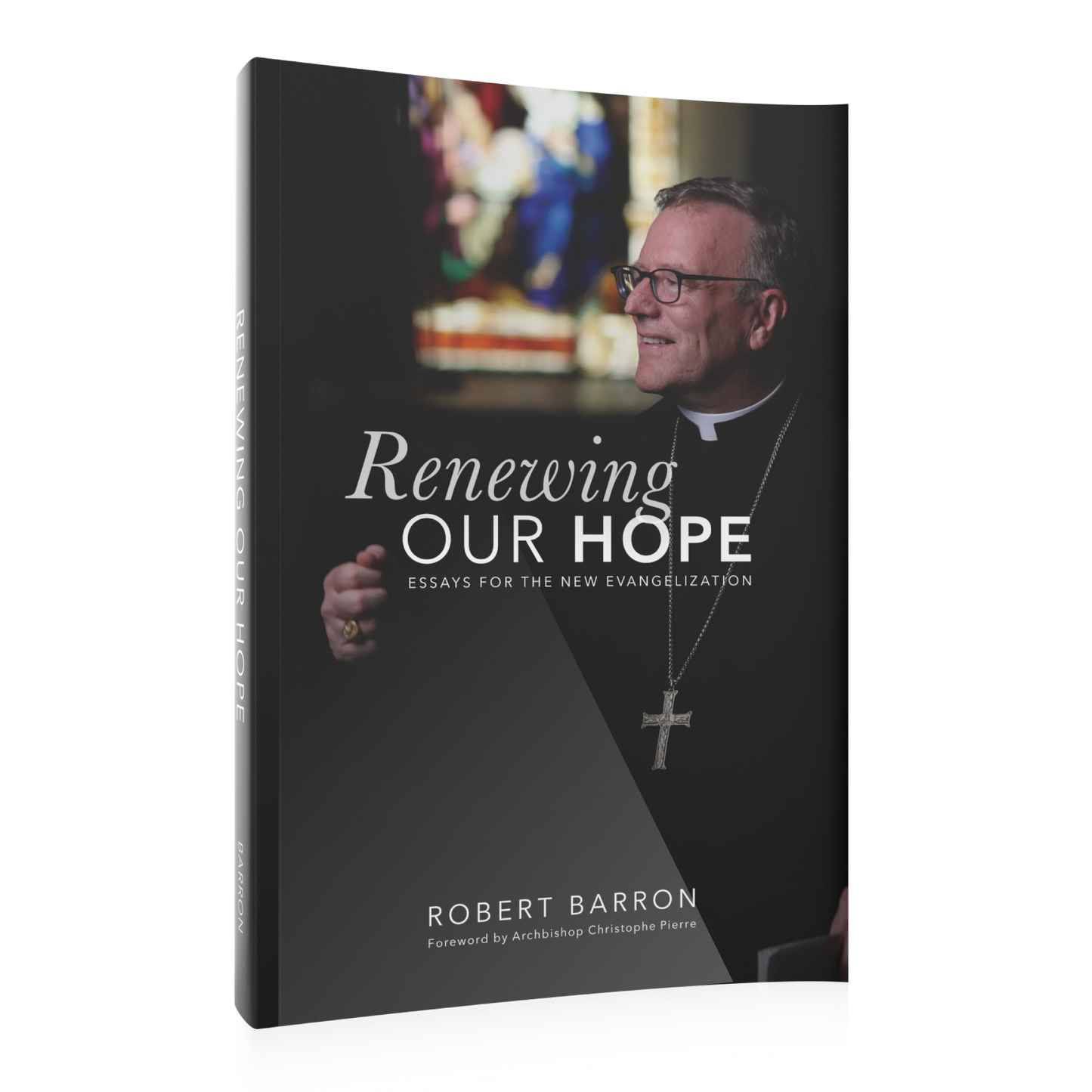 https://cdn.shopify.com/s/files/1/0005/3195/5769/products/Renewing-Our-Hope-SHOPIFY-RIGHT.png?v=1676926559