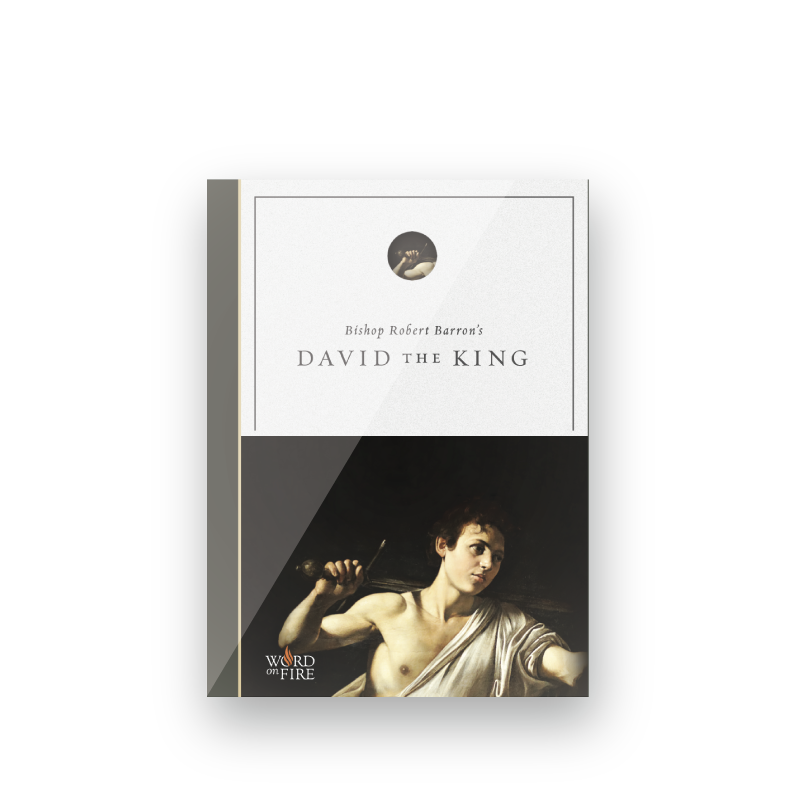 https://cdn.shopify.com/s/files/1/0005/3195/5769/products/SHOPIFY-David-the-King-DVD-Front-Shadow.png?v=1631711141