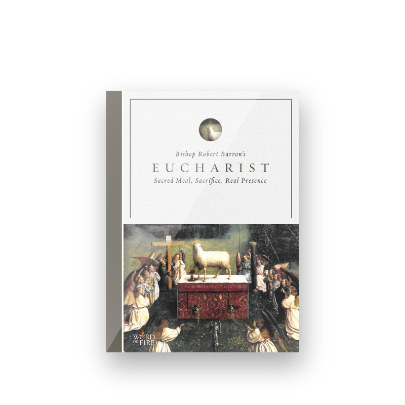 https://cdn.shopify.com/s/files/1/0005/3195/5769/products/SHOPIFY-Eucharist-DVD-Front-Shadow.png?v=1631711187