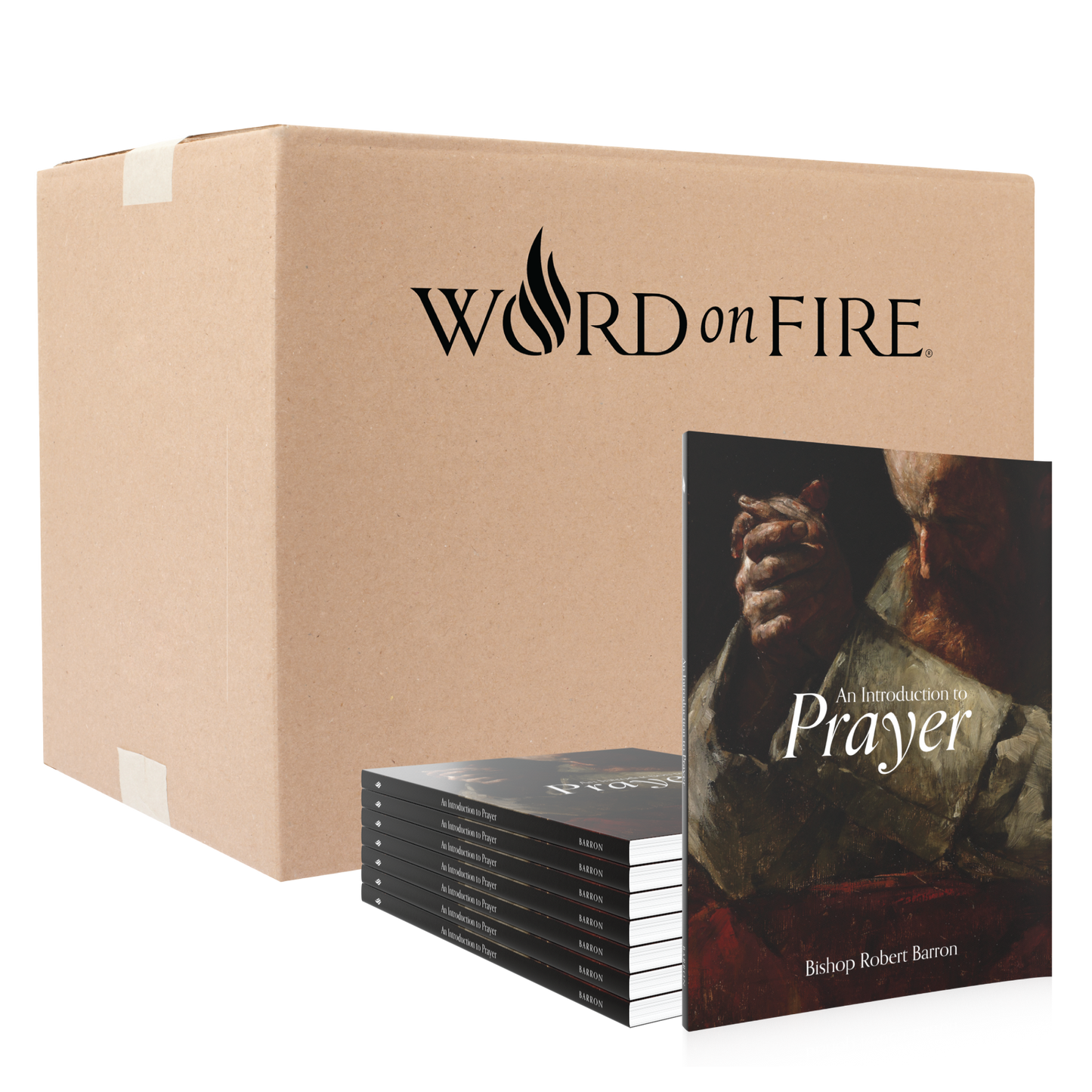 https://cdn.shopify.com/s/files/1/0005/3195/5769/files/SHOPIFY-Introduction-to-Prayer-Stack-and-Bulk-Cardboard-Box.png?v=1723141005