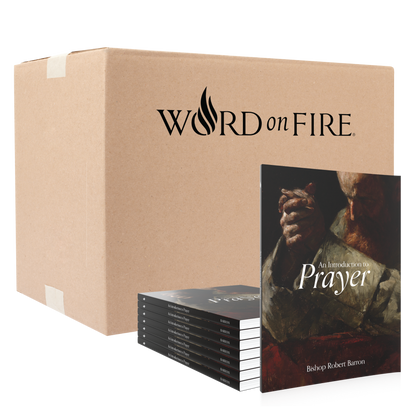 https://cdn.shopify.com/s/files/1/0005/3195/5769/files/SHOPIFY-Introduction-to-Prayer-Stack-and-Bulk-Cardboard-Box.png?v=1723141005