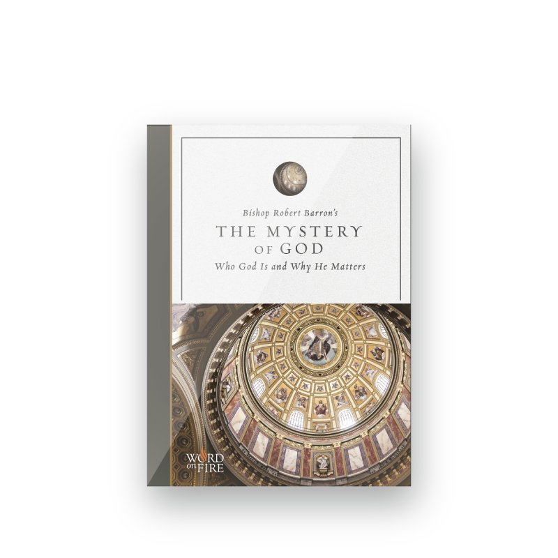 https://cdn.shopify.com/s/files/1/0005/3195/5769/products/SHOPIFY-Mystery-of-God-Front-Shadow.png?v=1631711307
