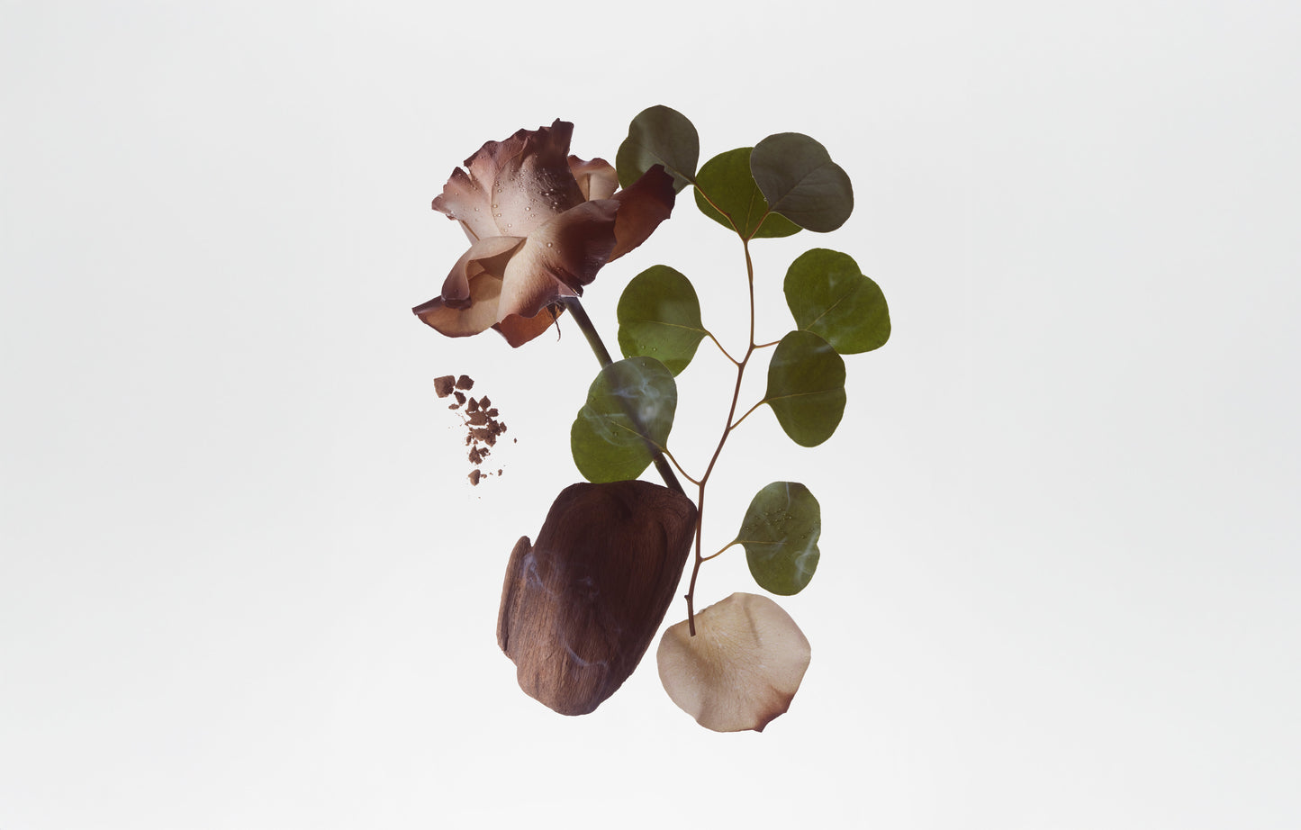 BODY FRAGRANCE  - SMOKED ORRIS - Tree of Life